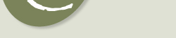 Yarmouth Chiropractic Logo